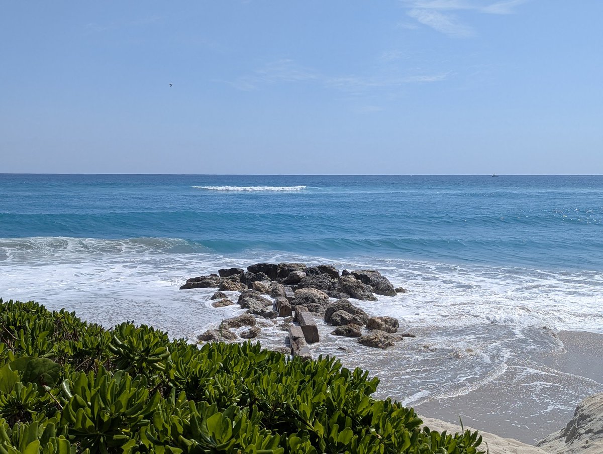 Sheila the Bills 50/50 girl! ❤️🏈💙 tweet media