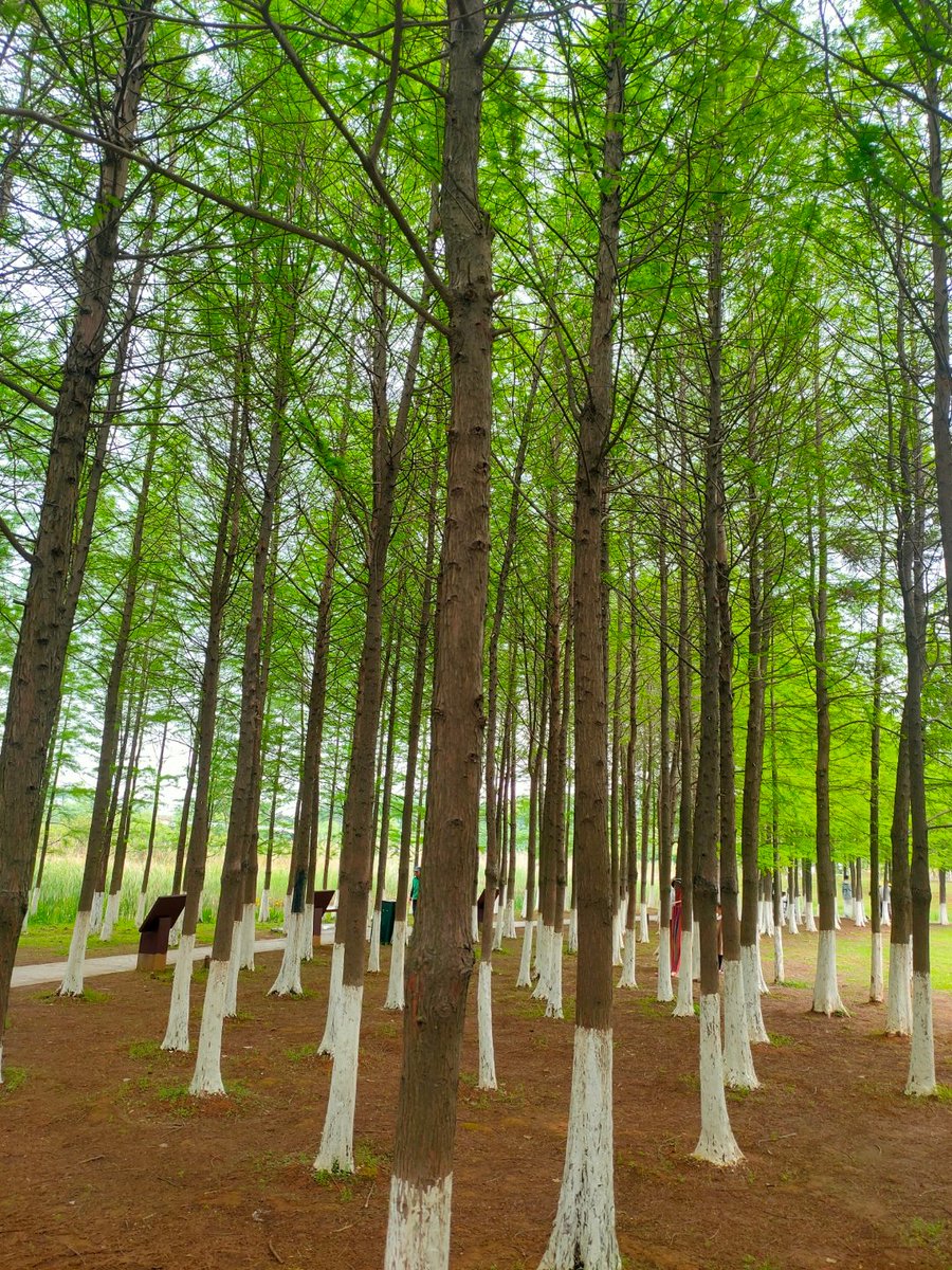 Ethan K Klein tweet media