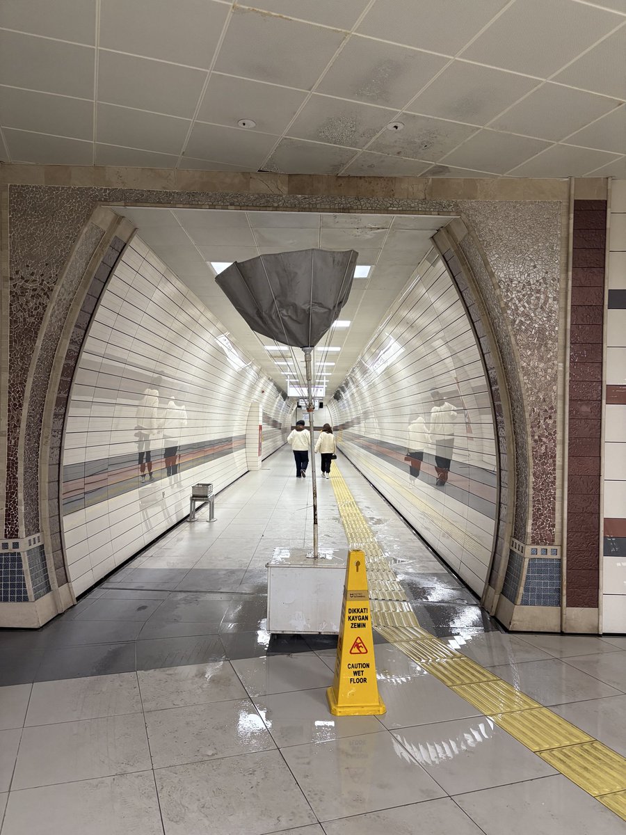 Funye🦅🇵🇸 tweet media