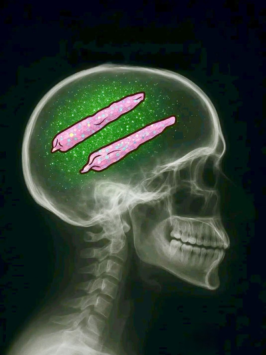 iFlyHigh™ 🎄 tweet media