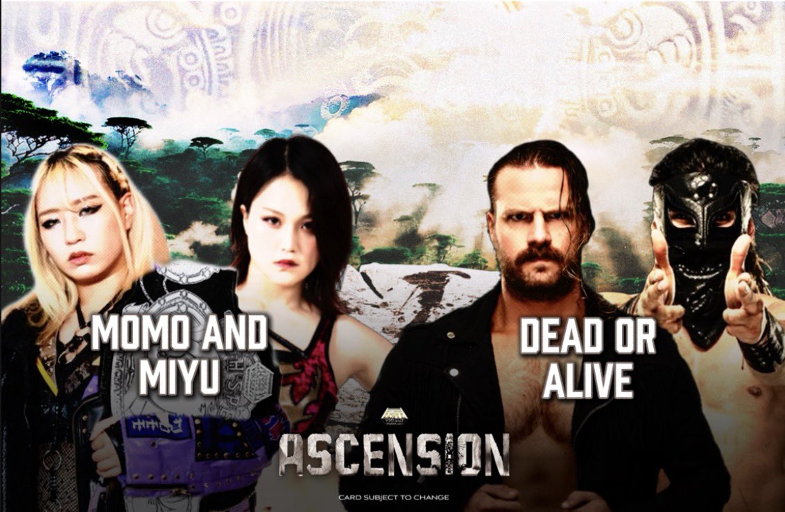 Elite Wrestling Federation tweet media