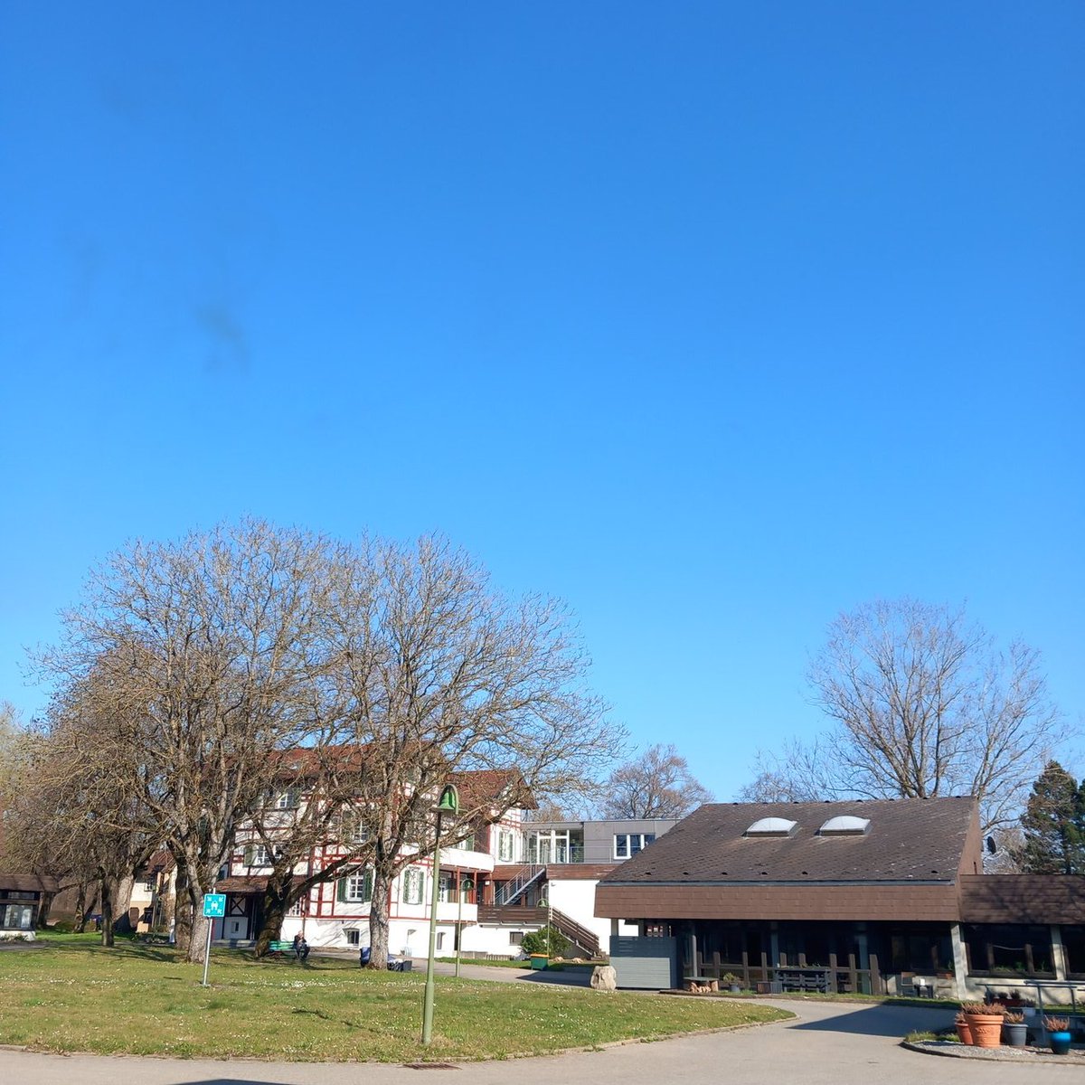 TAO CHAN 🪷 ZEN tweet media