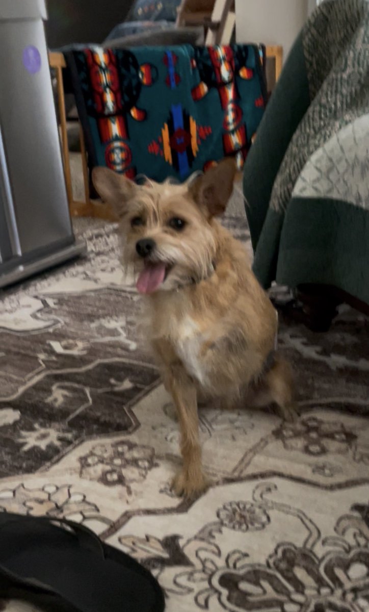 BenjaminDWaters tweet media