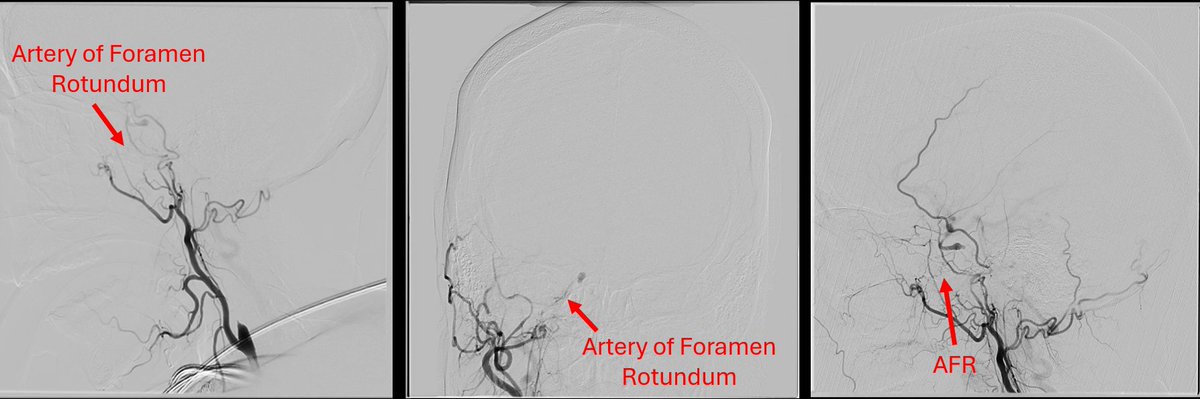 SNIS Info tweet media
