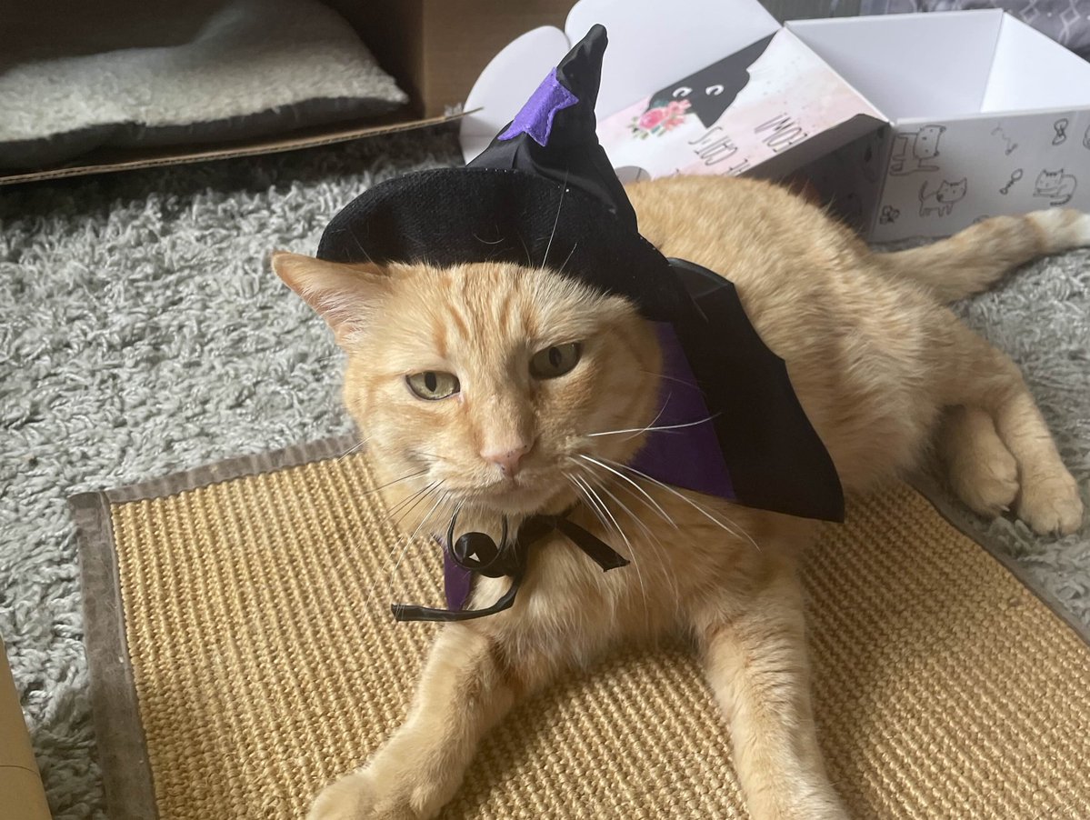 monkee343 tweet media