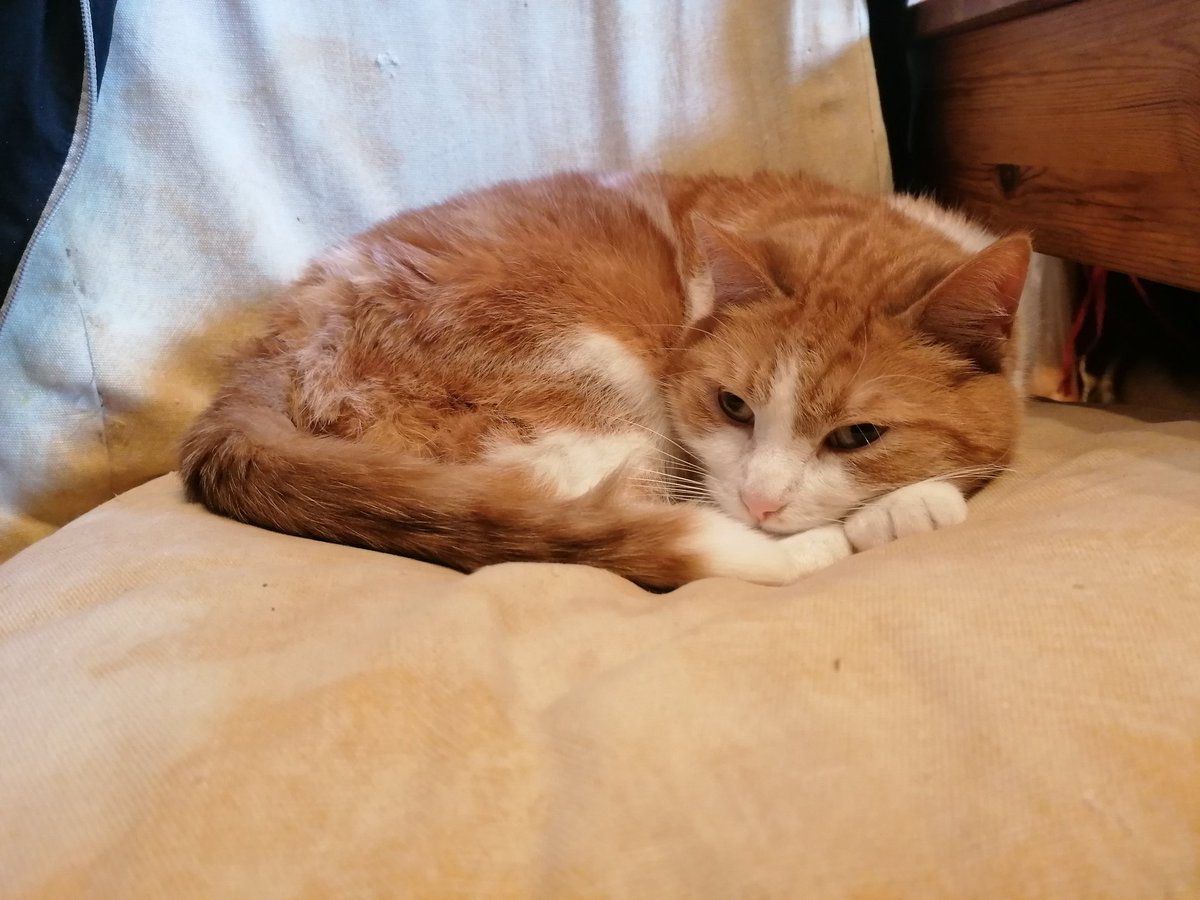 Ben Grabenbaer™ tweet media