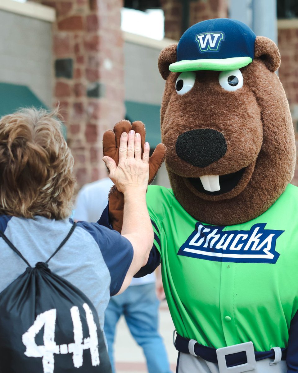 Wausau Woodchucks tweet media