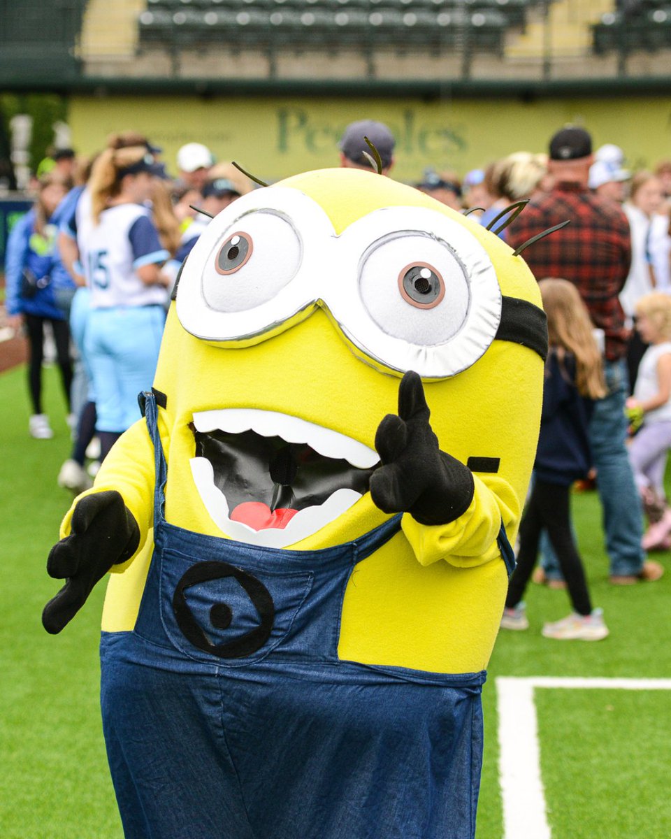 Wausau Woodchucks tweet media