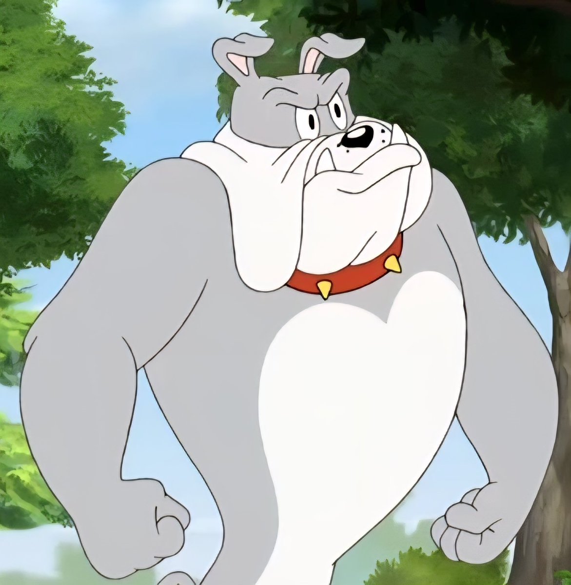 Aya A. R tweet media