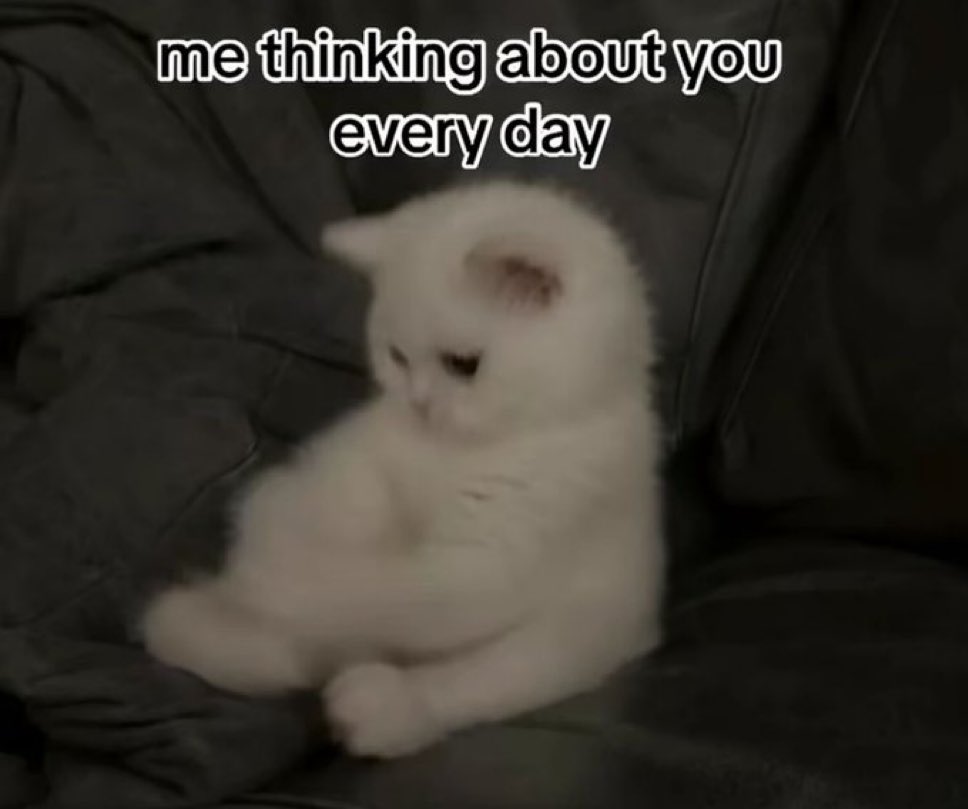 messages. tweet media