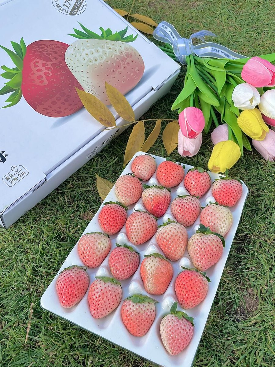 Patrese Whitman tweet media