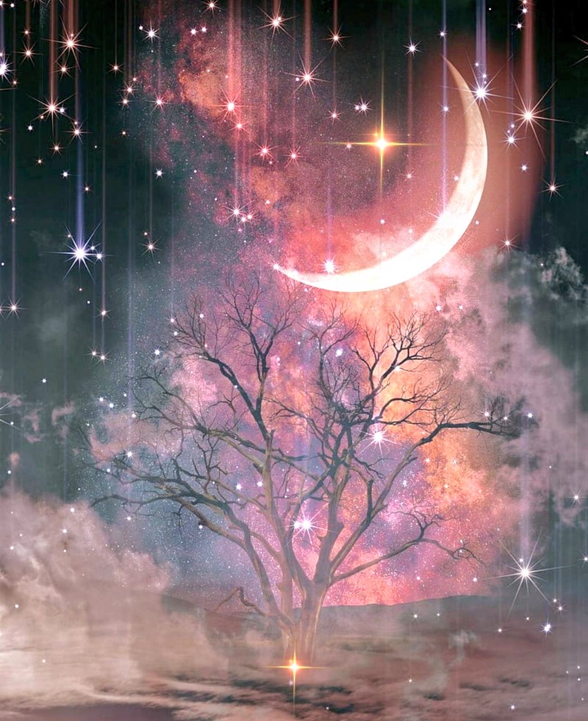 babitameena1010's tweet image. Take gentle care of your heart and mind…
Let the night bring you rest, renewal, and quiet strength 💫🌸🌿🌈🧩🎭🎲♥️
Tomorrow holds a fresh beginning 🌅
#GoodNight #TakeCare #PeacefulNight #StayStrong