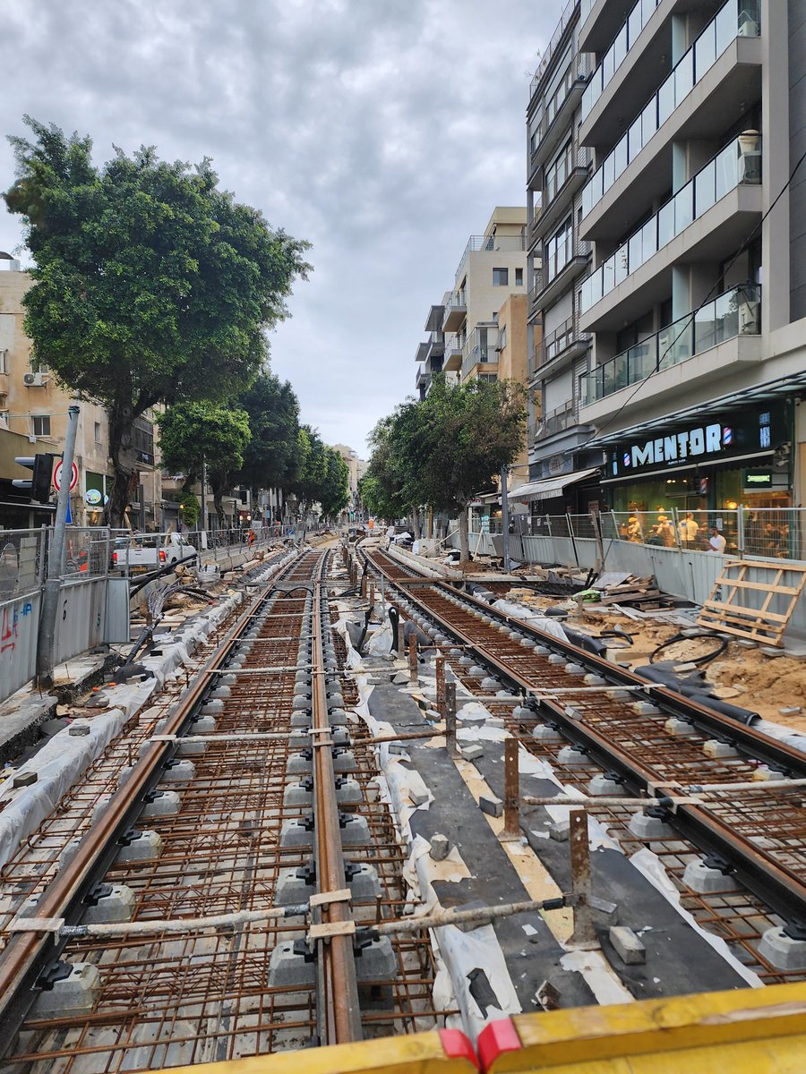 הרב אריאב שליטא tweet media