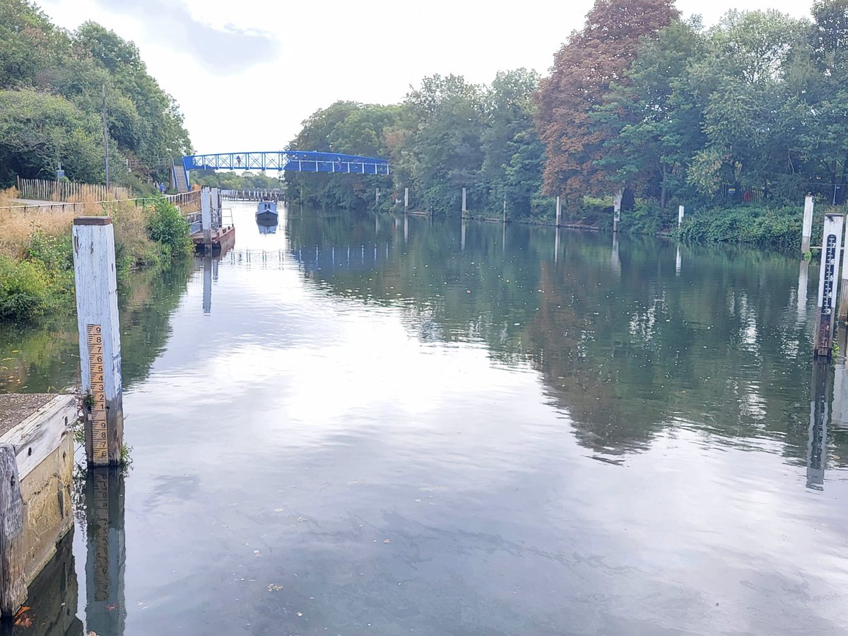 Thames21 tweet media