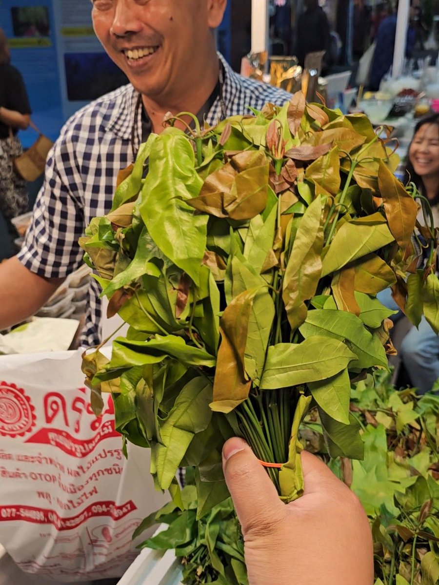 เรเร พยูนบูด tweet media