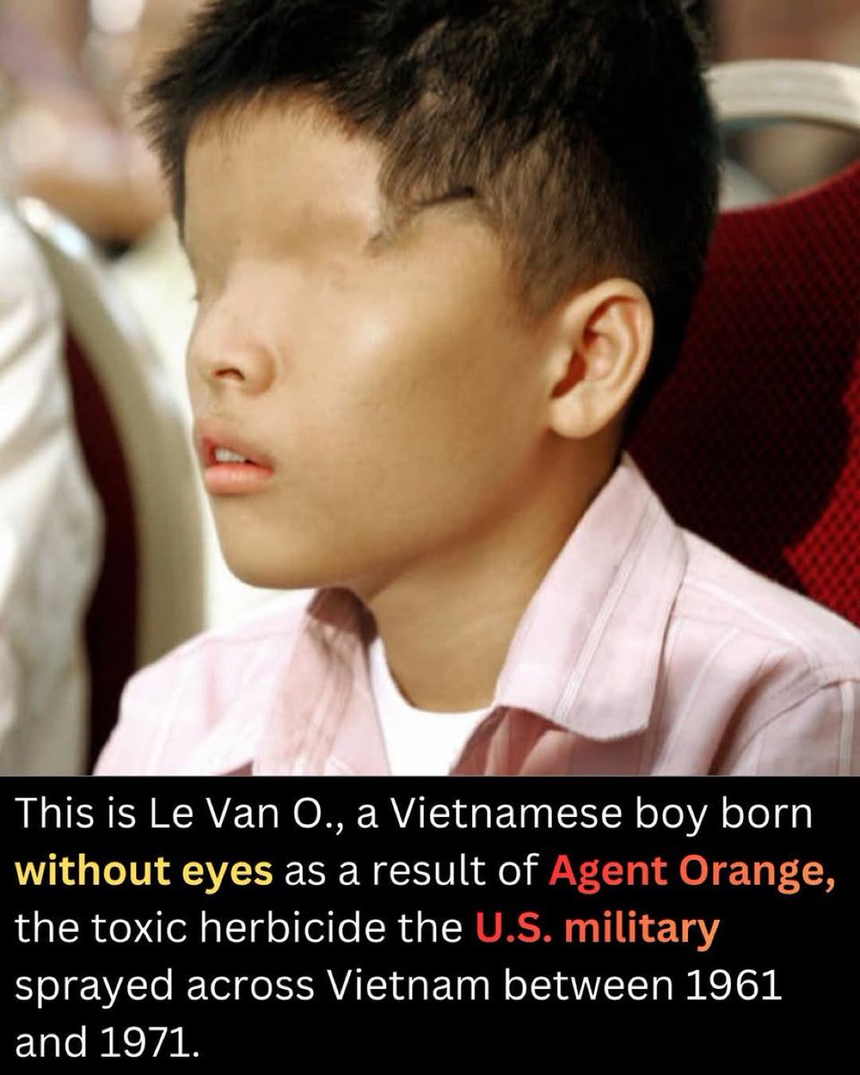 Idriss J. Aberkane Ph.D x3 tweet media