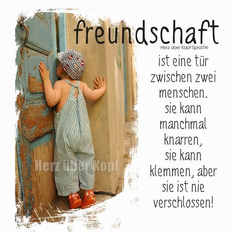 TAO CHAN 🪷 ZEN tweet media