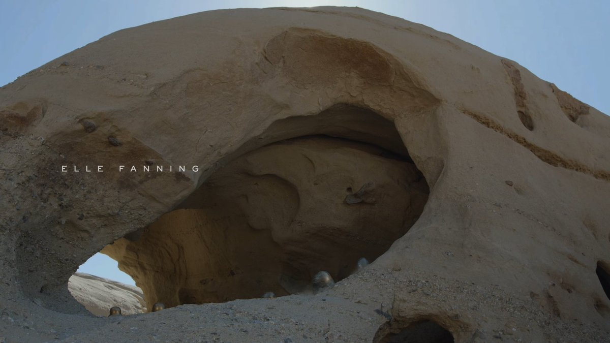 محمد tweet media