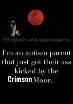 Sashimi, CEO of Furiknave tweet media