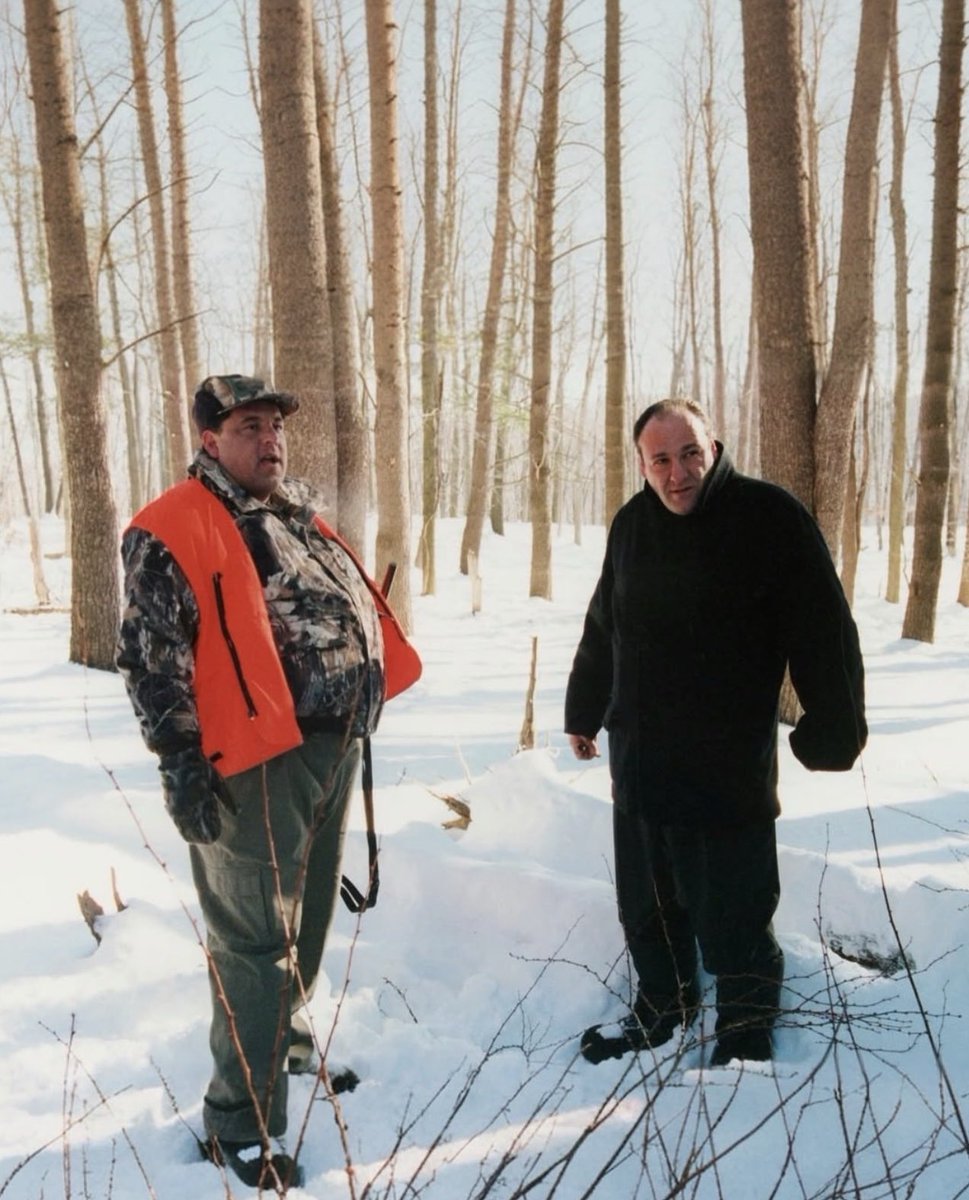 Timeless Culture tweet media