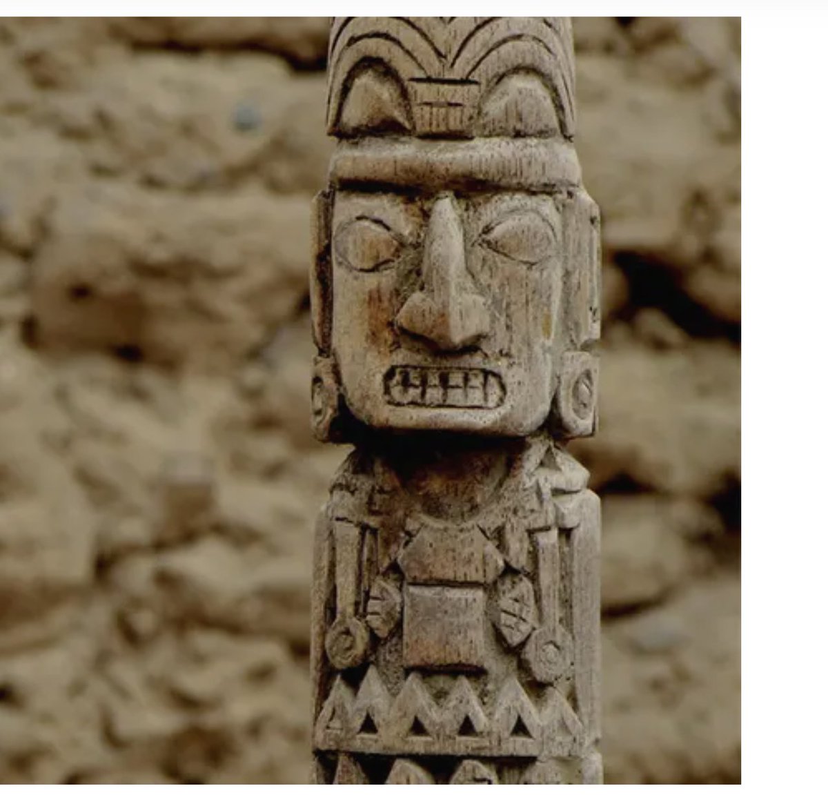 Andromeda tweet media