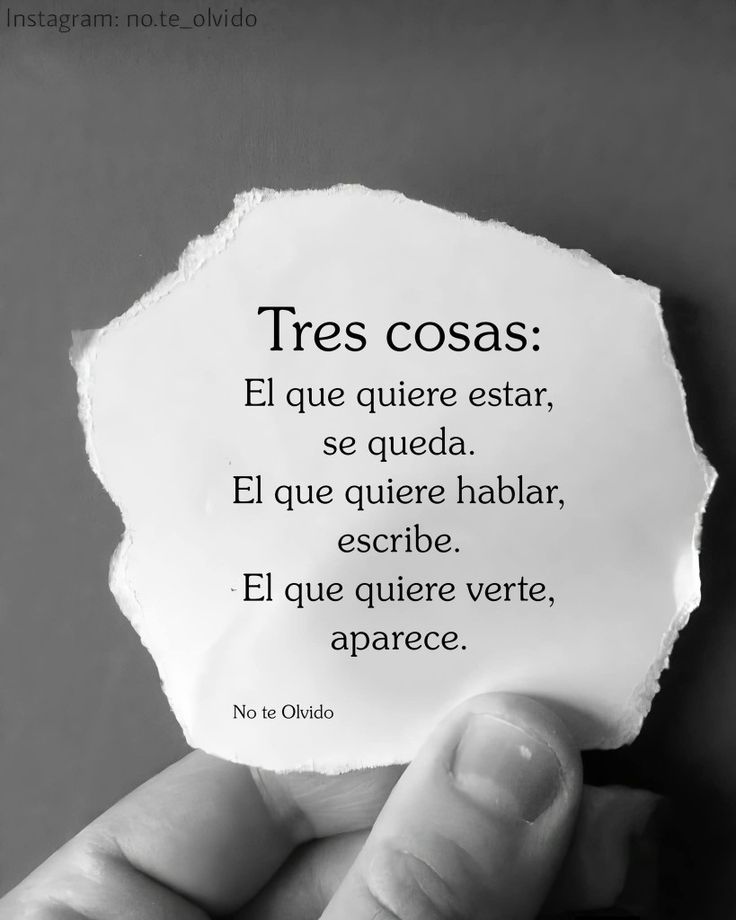 OLY OLMEN ✨💝 tweet media