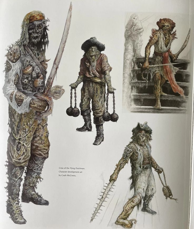 🏴‍☠️ tweet media