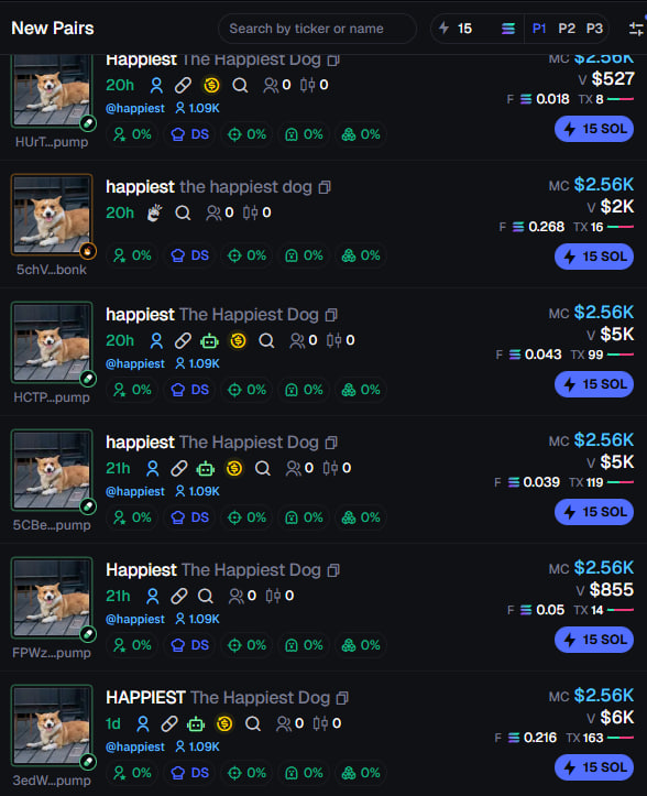 the happiest dog tweet media