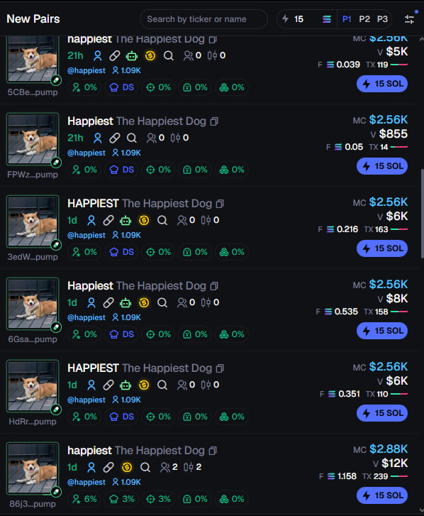 the happiest dog tweet media