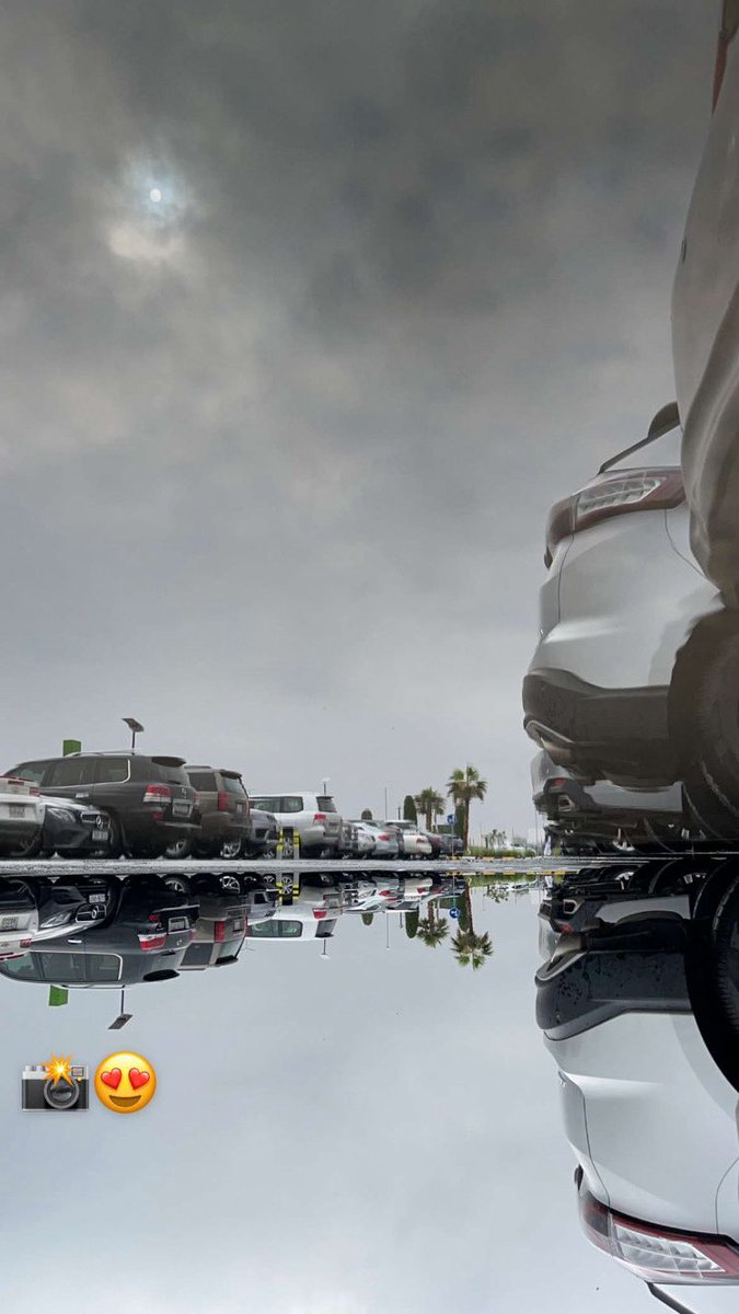 مفهـي/حفِظهُ الله ورعاه tweet media