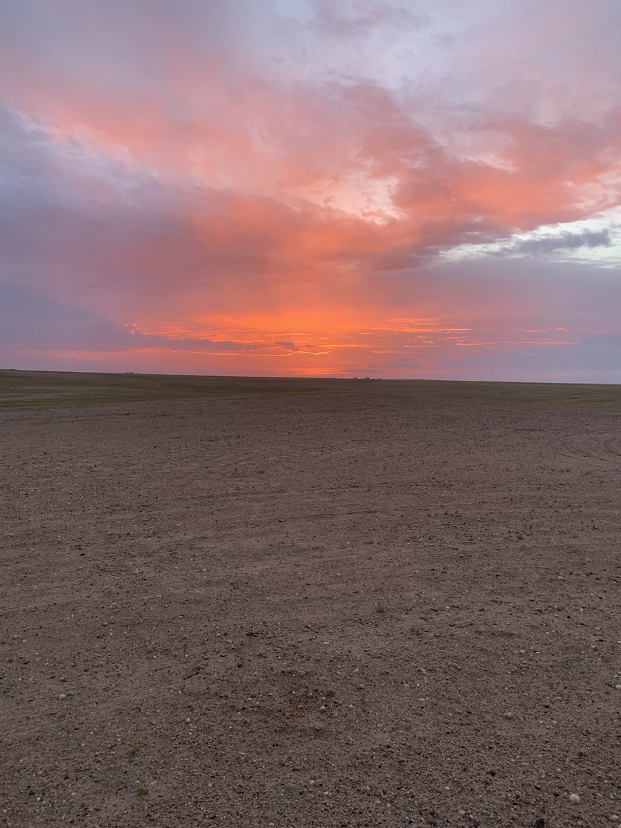 alabjar_q8 tweet media