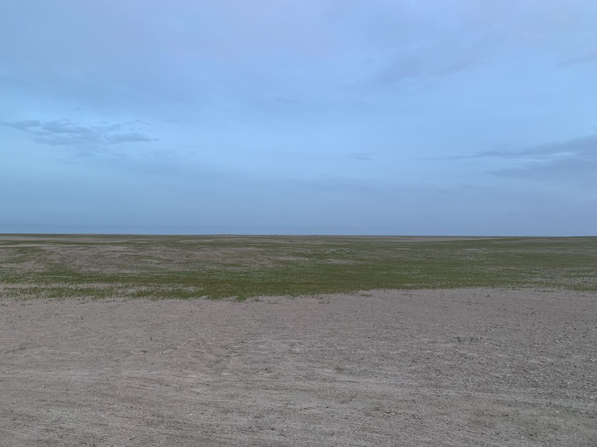 alabjar_q8 tweet media