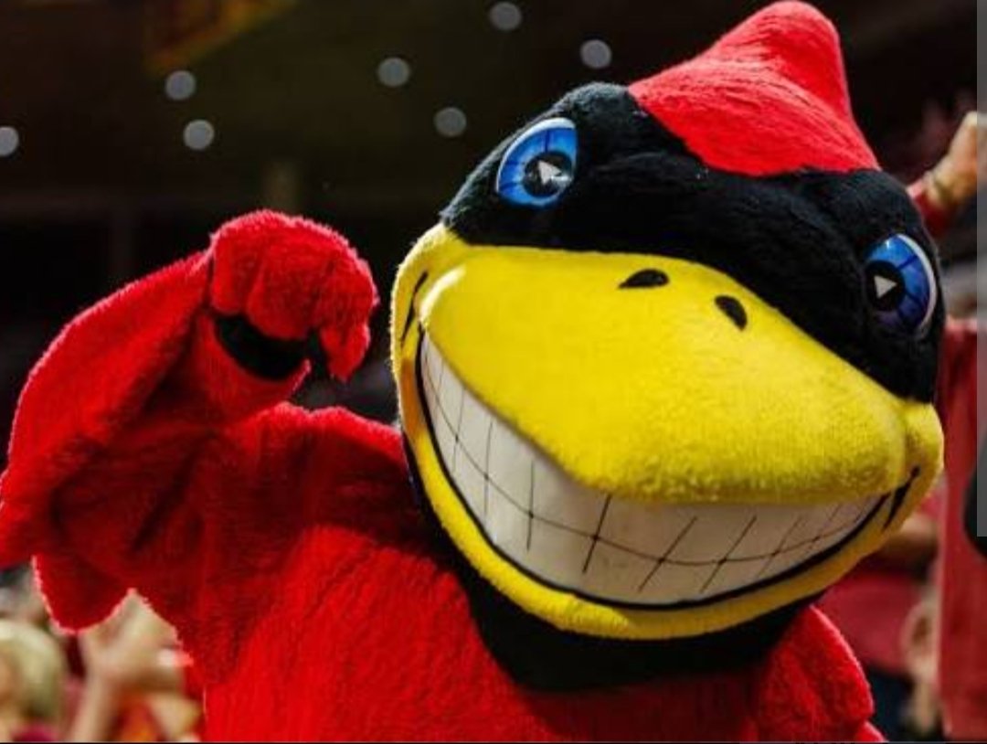 Cole Converse tweet media