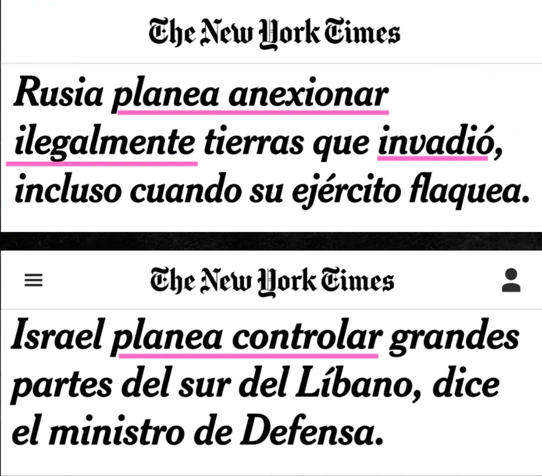 ZuritaCarpio tweet media