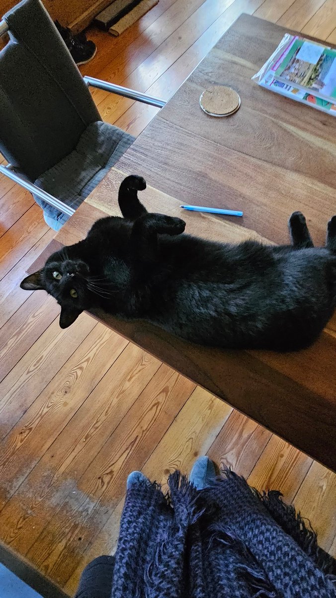 louise Weteling Hageman 🐦 tweet media