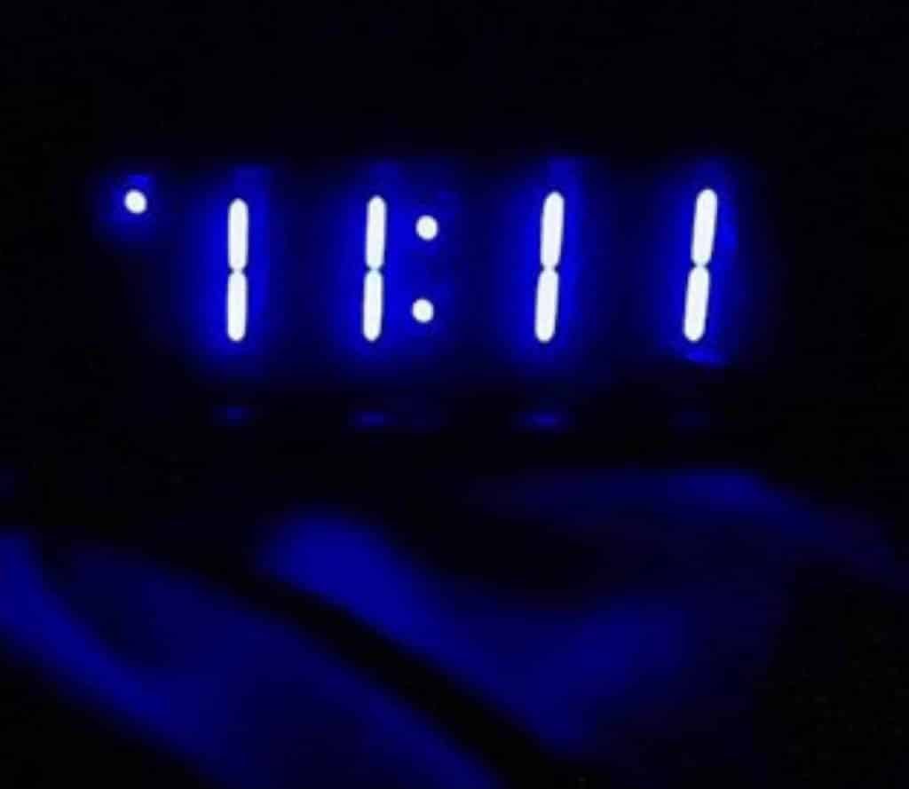 𝚃𝙷𝙴 𝚆𝙷𝙸𝚃𝙴 𝚁𝙰𝙱𝙱𝙸𝚃 tweet media