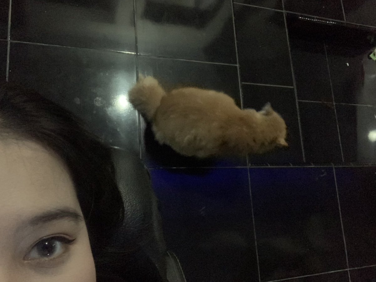 lunna🌙 tweet media