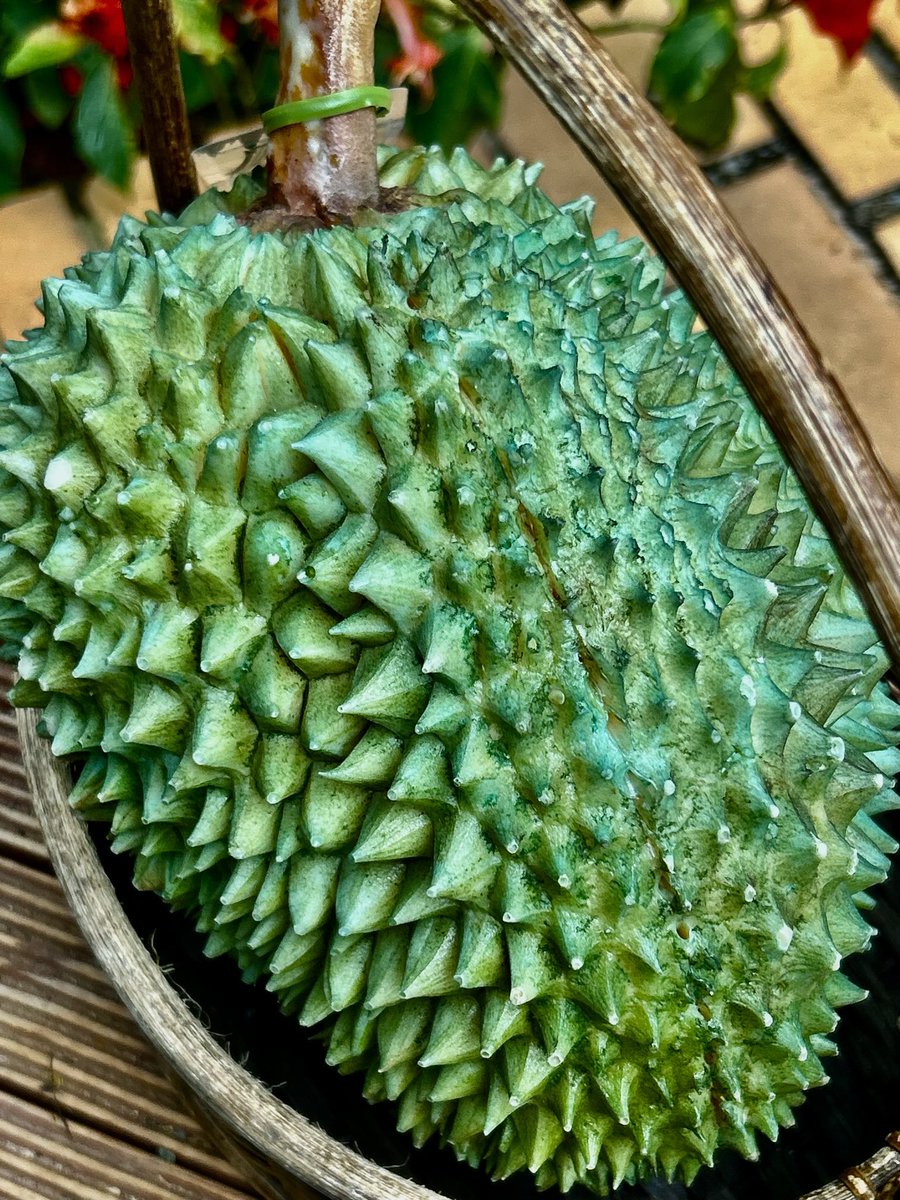 🎼Sun🫐 tweet media