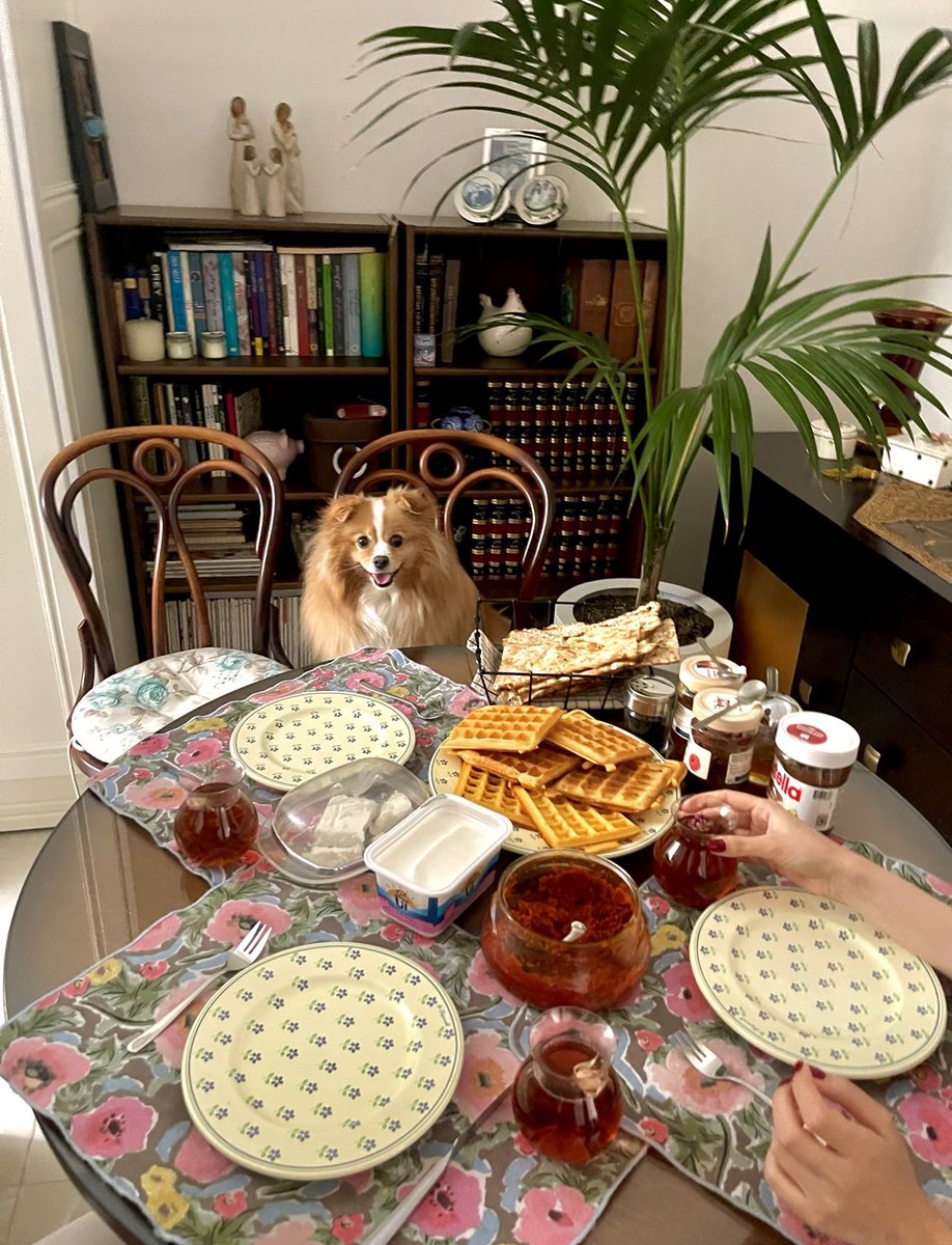 بیسکوییت ناآگاه tweet media