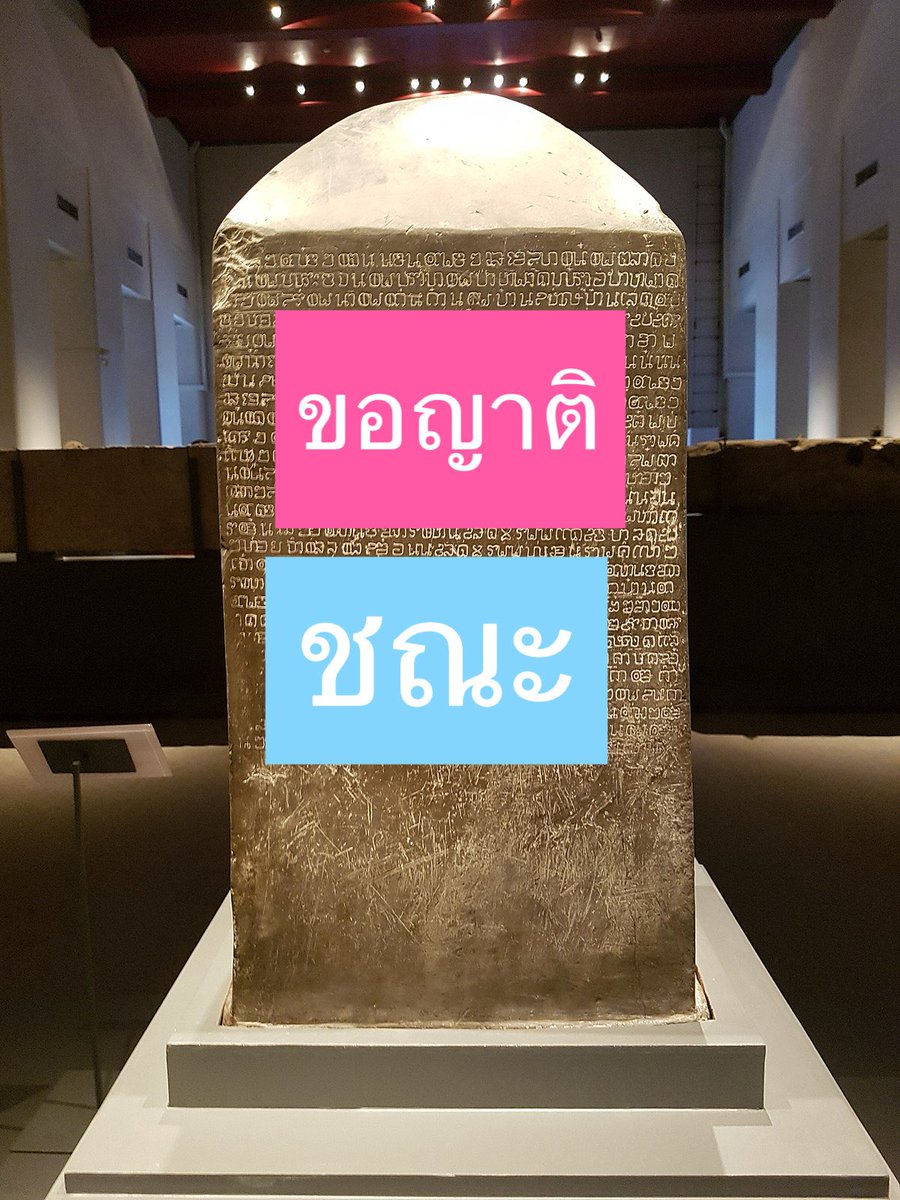 ผีวัว (ตัวจริง) 🐄 tweet media