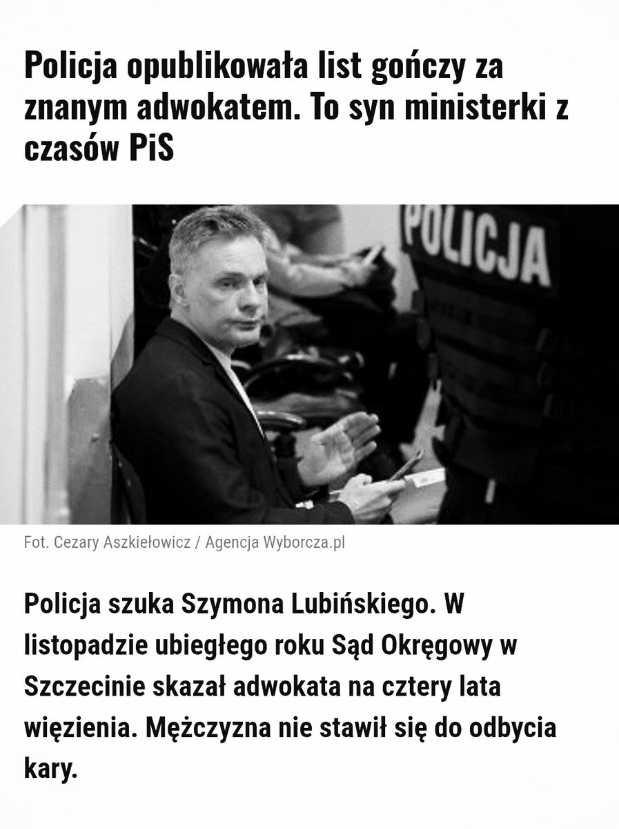 Lucek™ tweet media