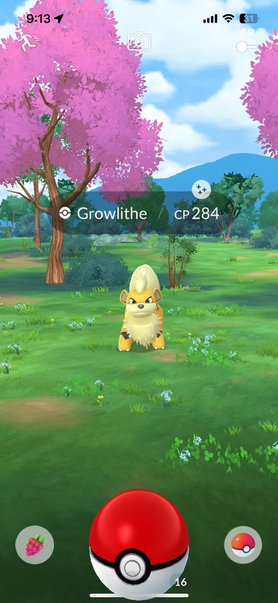 uncatchable mark tweet media