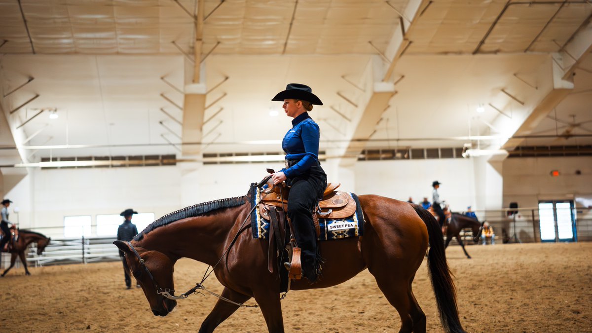 South Dakota State Jackrabbits tweet media