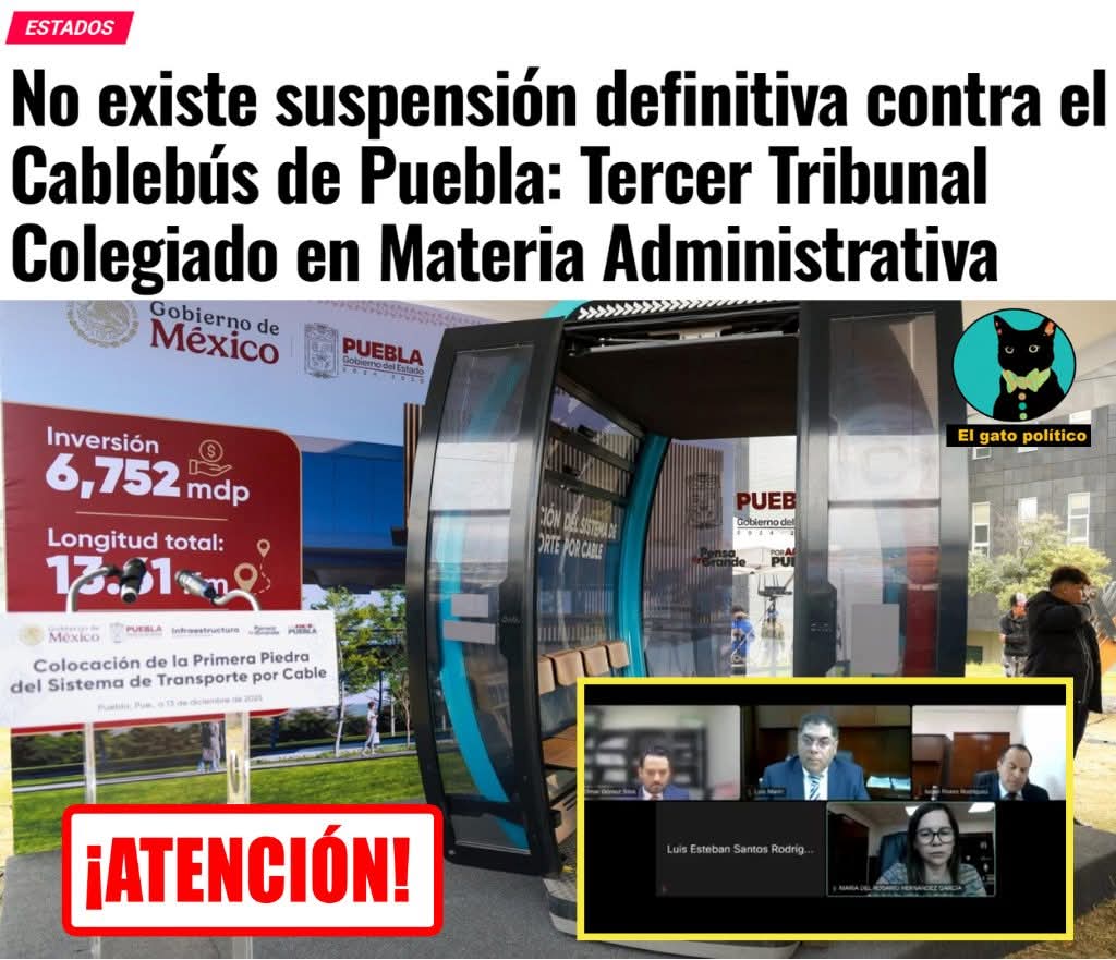 Freddy Oliviery tweet media