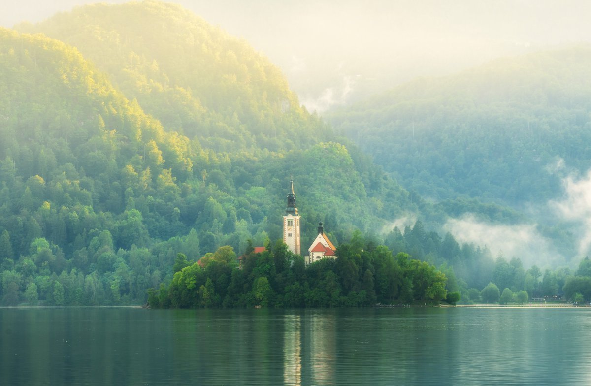 meshal 🇰🇼 tweet media