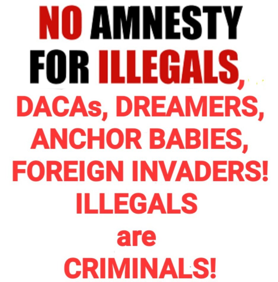 MerMaid15882072's tweet photo. @UtahDemocrats #ILLEGALS #ForeignInvaders have NO RIGHTS!!! https://t.co/Rk8oXi9UWV