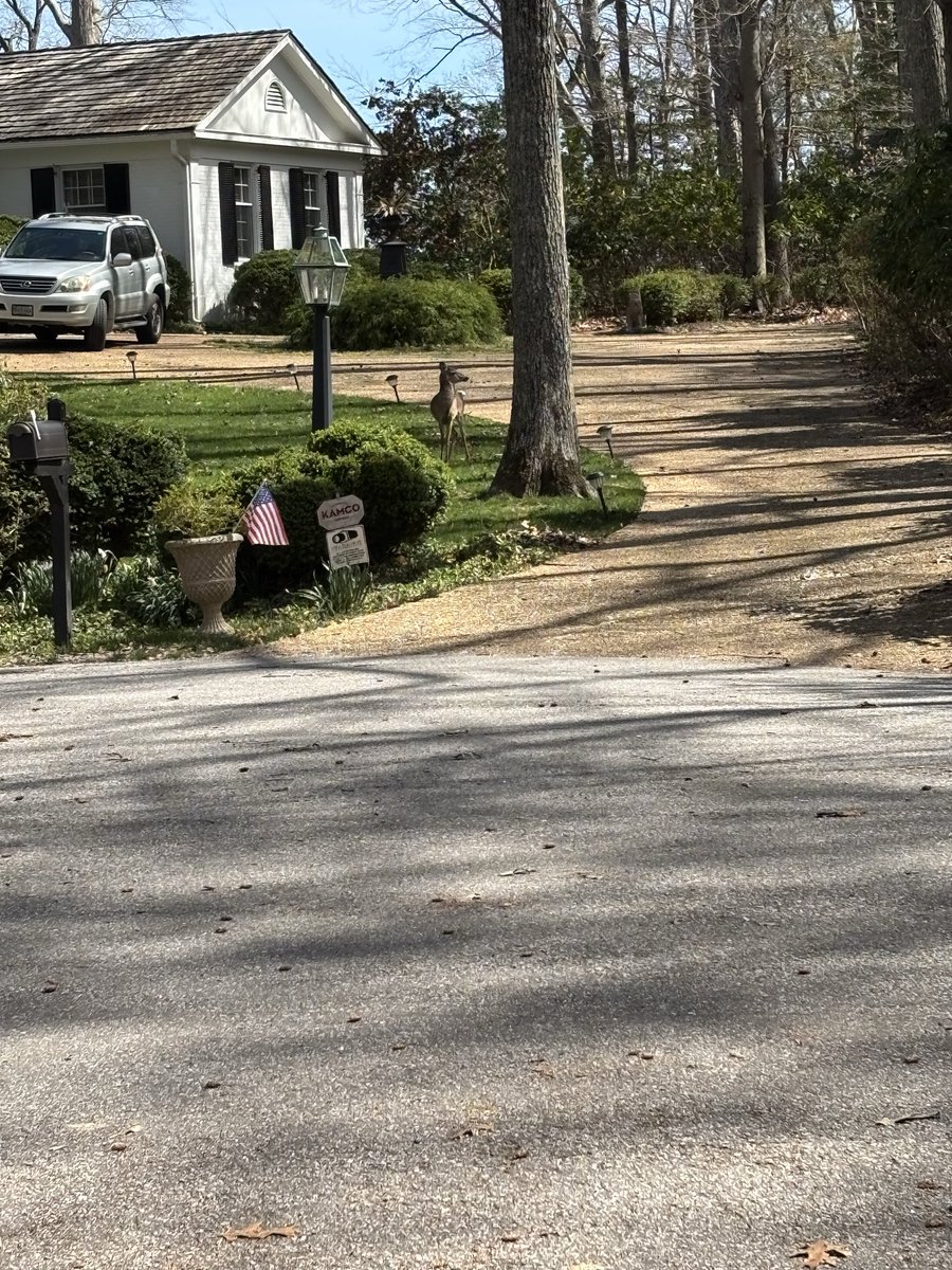 ftedd 2.0 tweet media