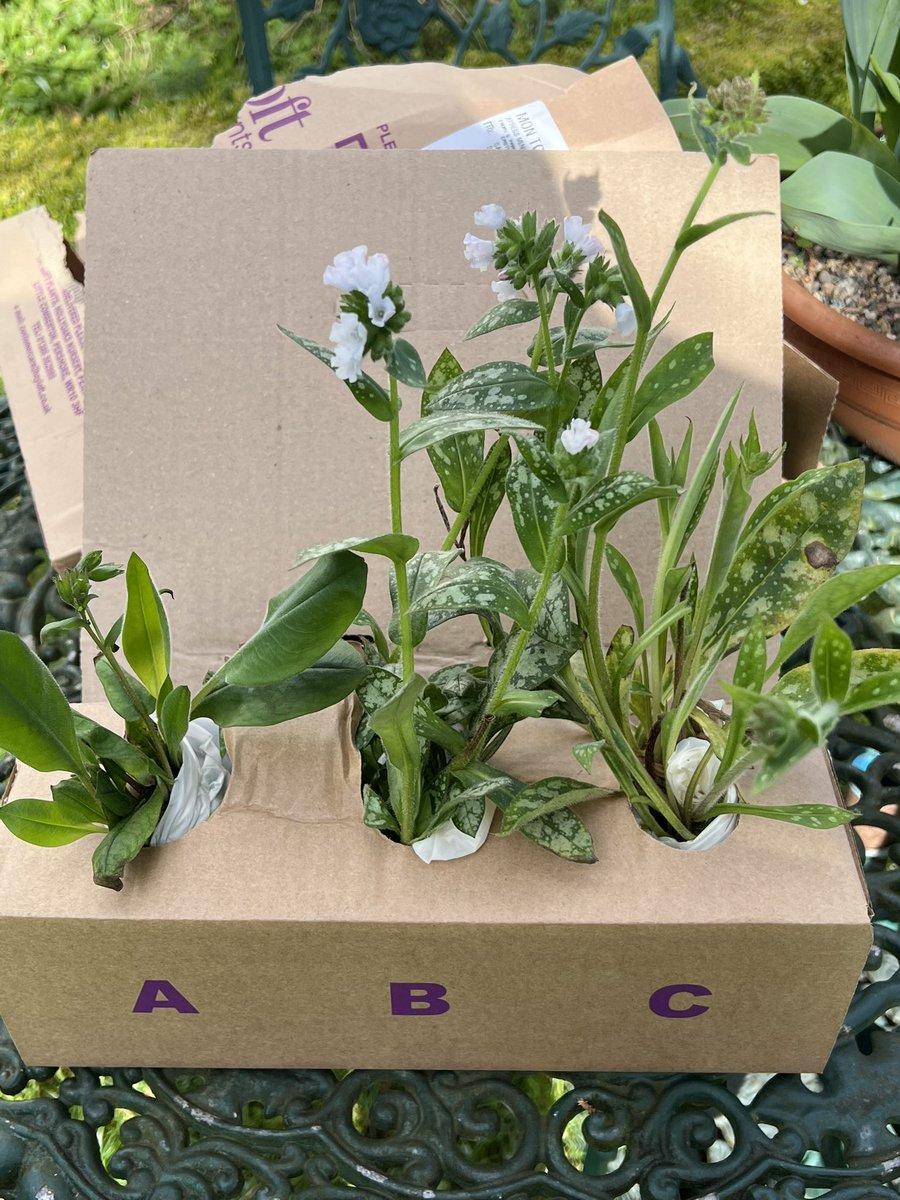 Sam Preston tweet media