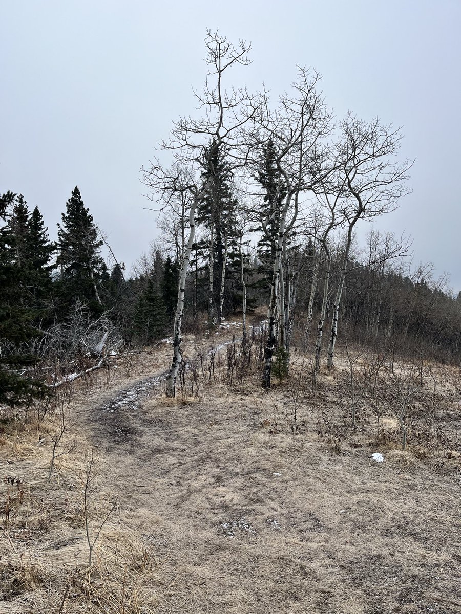 michelle d tweet media