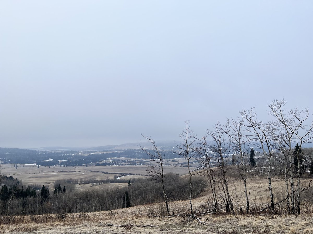 michelle d tweet media